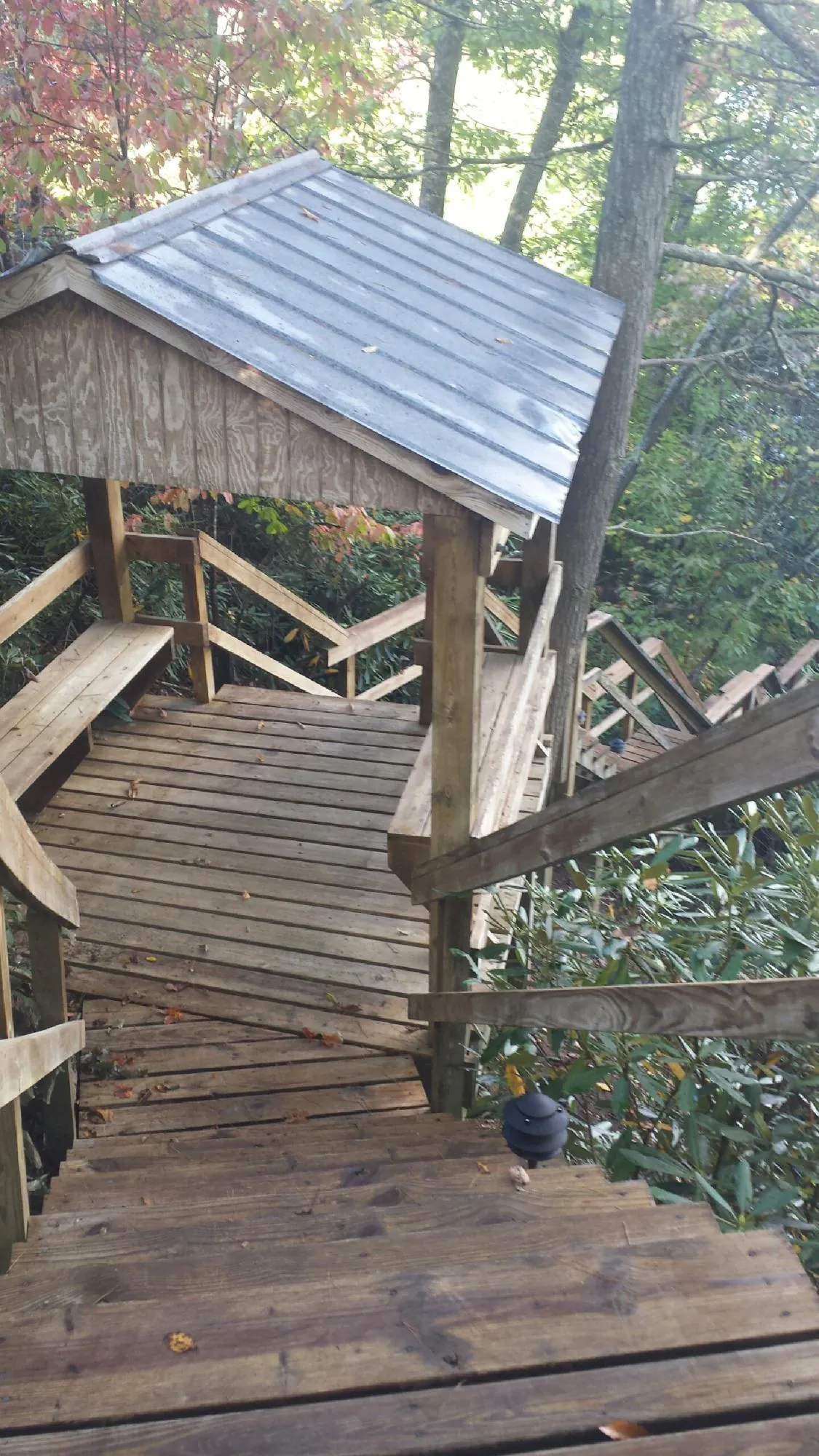 Metal roofed shelter over wooden steps on a wooded walkway — Skylight Repair & Installation work by our crew in Carbonado