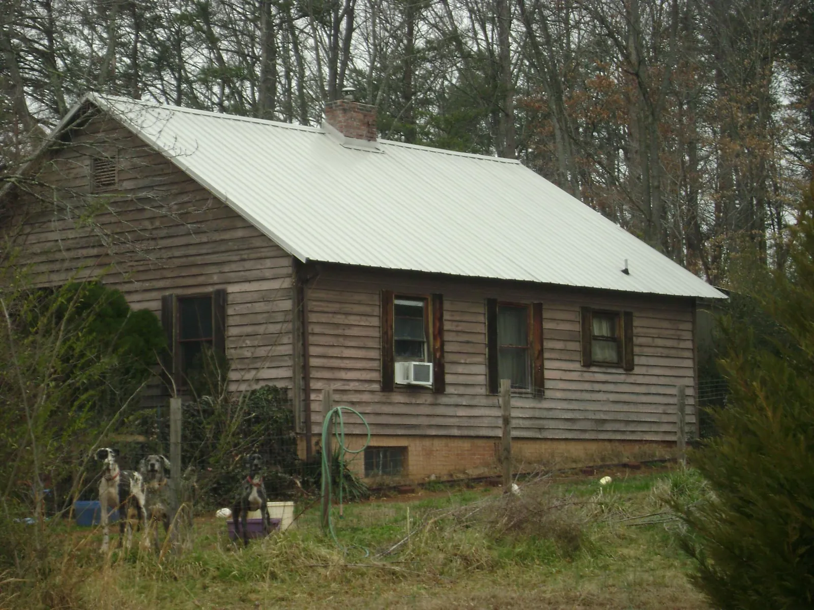 White metal roof on an old wood sided farmhouse, from a Metal Roof Installation job in Carbonado